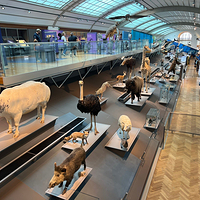 自然科学博物馆