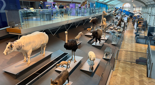 自然科学博物馆