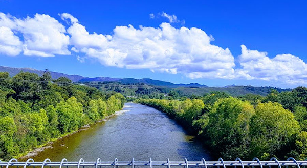 The Gardens of Isengard (LotR)