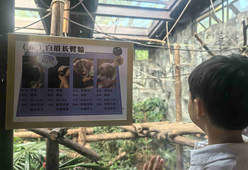 红山森林动物园第 171 张图片