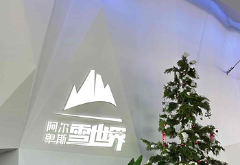 阿尔卑斯雪世界第 358 张图片
