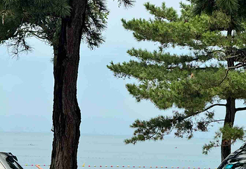 半月湾沙滩第 10 张图片