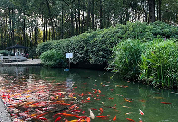 浣花溪公园第 65 张图片