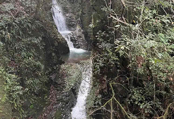 千岛湖红山谷景区第 38 张图片