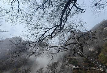 白石山世界地质公园第 160 张图片