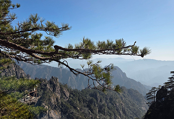 黄山风景区第 280 张图片