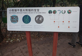 成都大熊猫繁育研究基地第 666 张图片