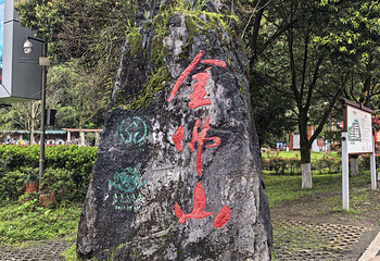 金佛山第 121 张图片