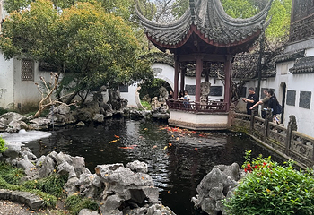 朱家角古镇景区第 102 张图片