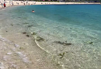 三亚湾第 49 张图片
