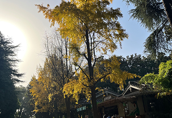 红山森林动物园第 294 张图片