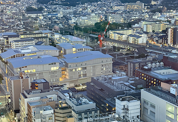 京都塔第 11 张图片
