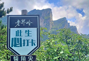 老界岭旅游度假区第 106 张图片