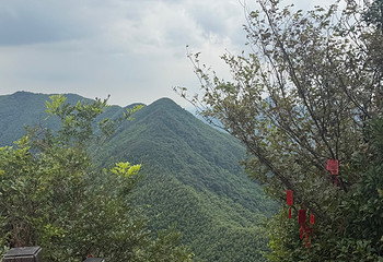 天目湖南山竹海第 172 张图片