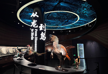 辽宁朝阳鸟化石国家地质公园第 12 张图片