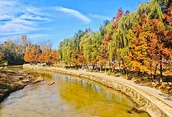 西安浐灞国家湿地公园第 69 张图片