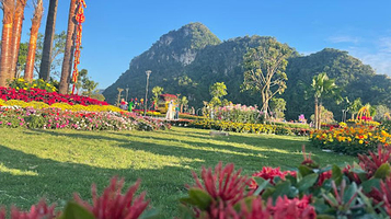 Vườn Hoa Xuân Ngũ Hành Sơn Đà Nẵng