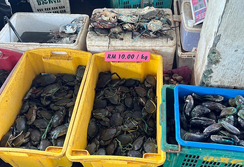菲力宾市场第 21 张图片
