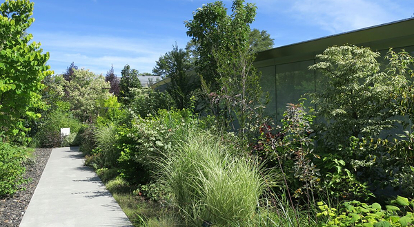 轻井泽千住博美术馆