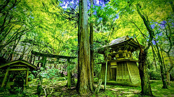 興福寺別院鶯滝歓喜天