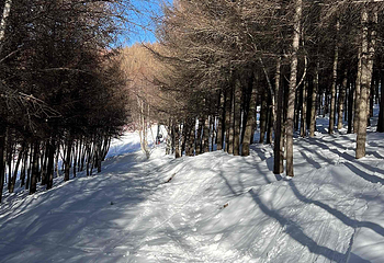 万龙滑雪场第 202 张图片