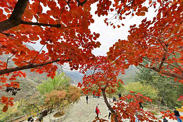坡峰岭第 20 张图片