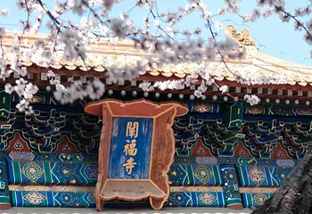 北海公园第 55 张图片