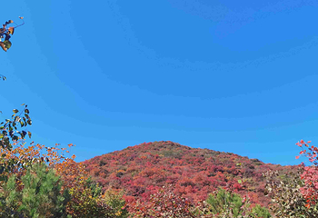 坡峰岭第 46 张图片