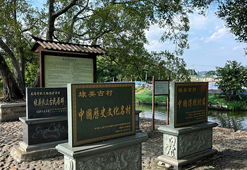 埭美古村第 84 张图片