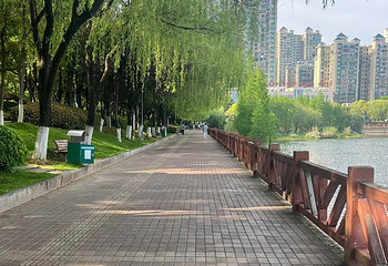 南湖第 97 张图片