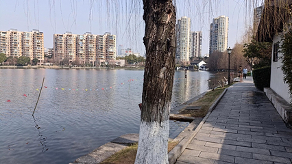 莫愁湖公园第 30 张图片