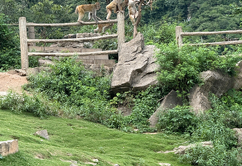 云台山风景名胜区第 200 张图片