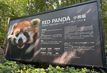 成都大熊猫繁育研究基地第 97 张图片