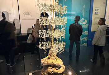 广西壮族自治区博物馆第 72 张图片