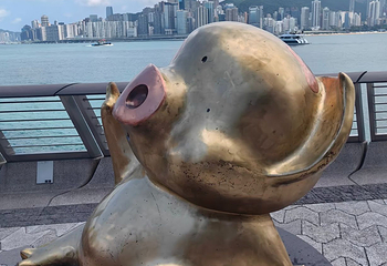 星光大道第 80 张图片