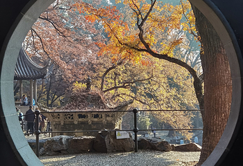 虎丘山风景名胜区第 236 张图片