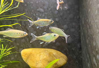 上海海洋水族馆第 166 张图片