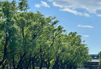 什刹海风景区第 141 张图片