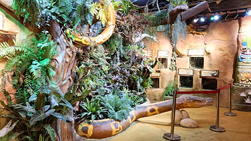 奇幻萌宠部落(金沙洲永旺梦乐城店)