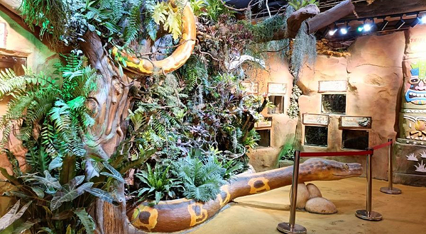 奇幻萌宠部落(金沙洲永旺梦乐城店)