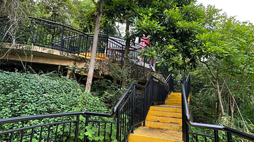 顺峰山公园-观景台