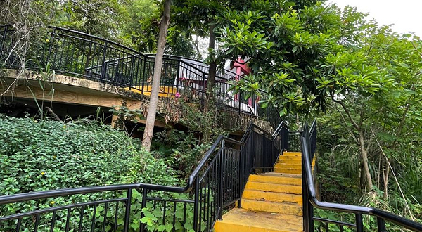 顺峰山公园-观景台