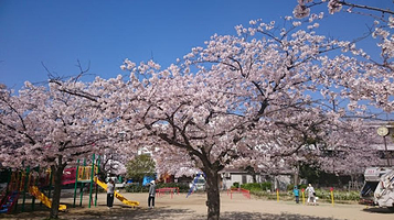 老松公园（西宫市）