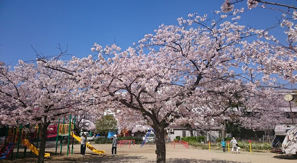 老松公园（西宫市）