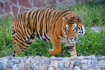 Almaty Zoo第 4 张图片