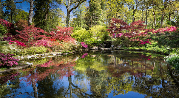 埃克斯伯里花园和蒸汽铁路