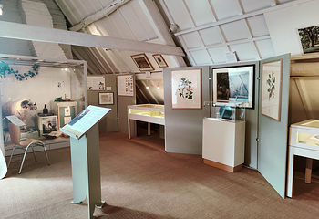 Captain Cook Memorial Museum第 10 张图片