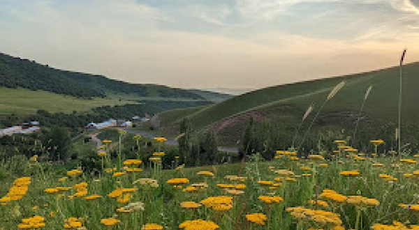 Кок-Жангак тоо эс алуу жайы