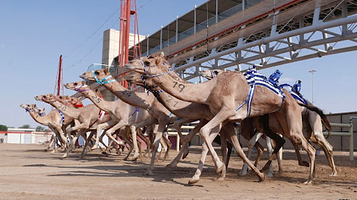 Al Marmoom Heritage Village