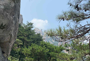 崂山风景区第 228 张图片